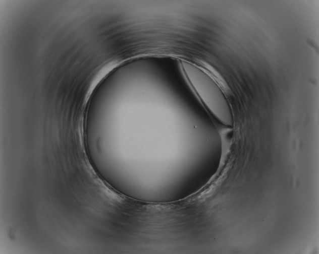 X0000091230812200709061518