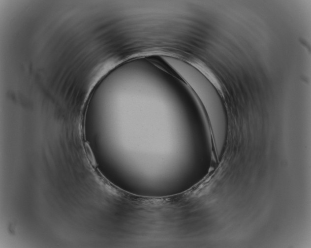X0000091230813200709061518