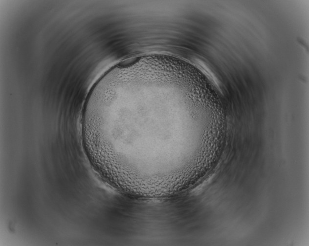 X0000091230814200709061518