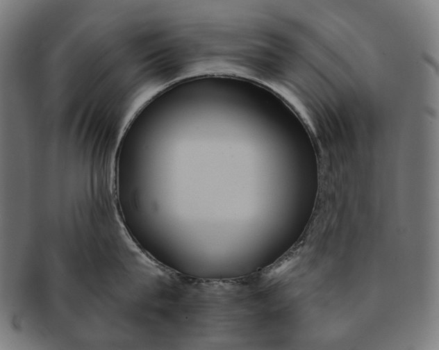 X0000091230815200709061518