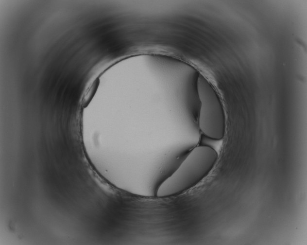 X0000091230816200709061518