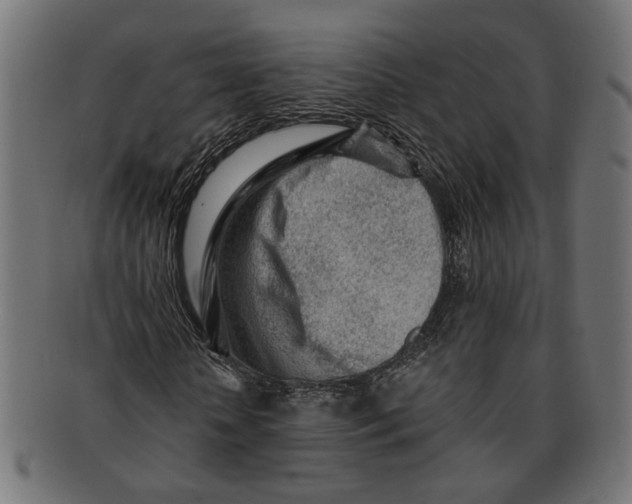 X0000091230818200709061517