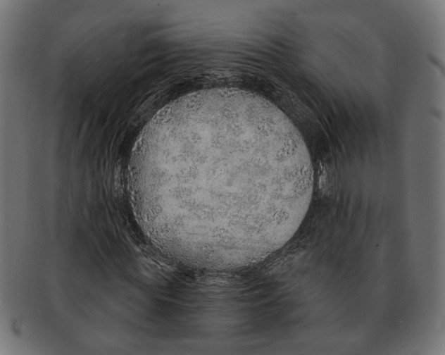 X0000091230819200709061517