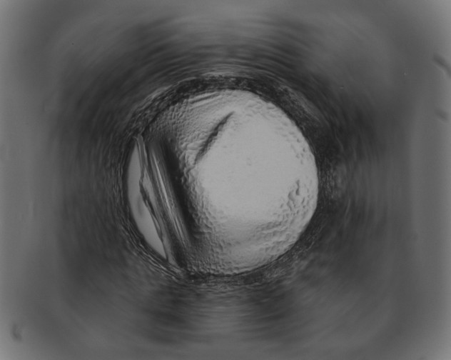 X0000091230821200709061517