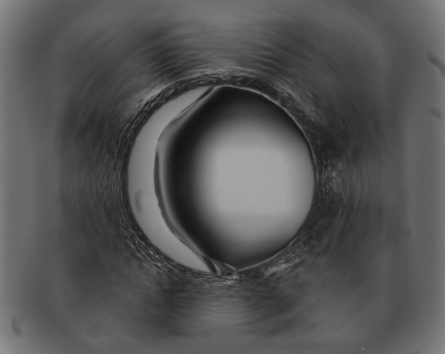 X0000091230822200709061517
