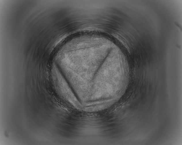 X0000091230823200709061517