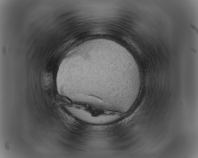 X0000091230825200709061517