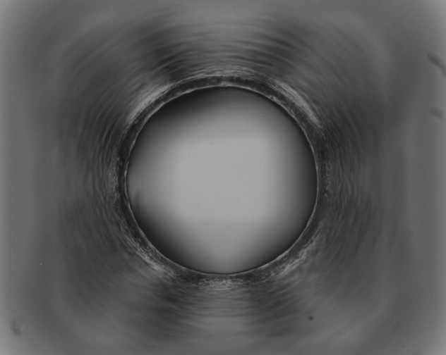 X0000091230826200709061517