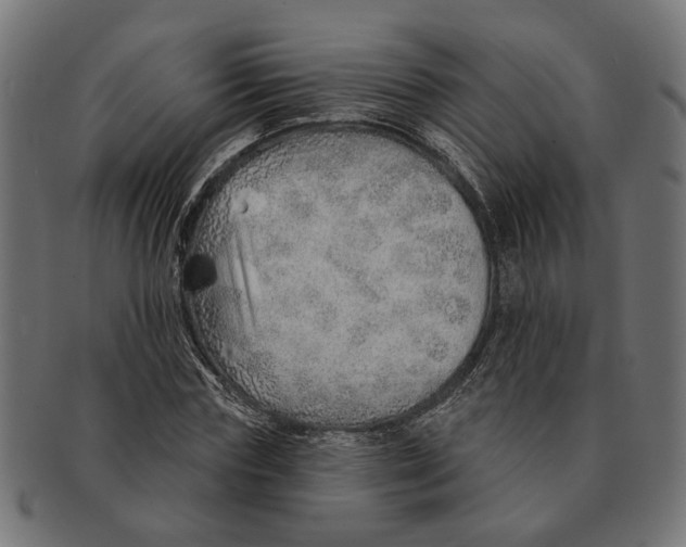X0000091230827200709061517