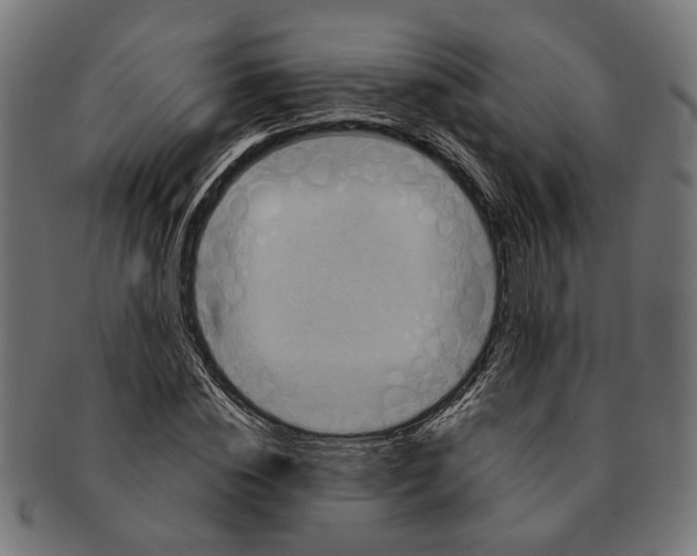 X0000091230828200709061517