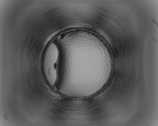 X0000091230829200709061517