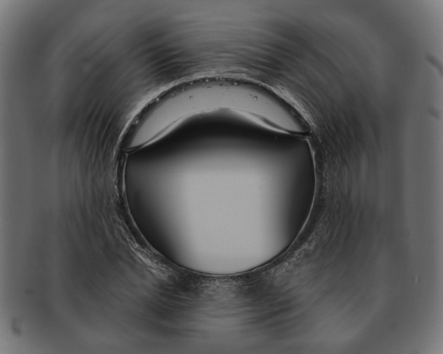 X0000091230830200709061517