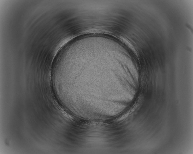 X0000091230831200709061517