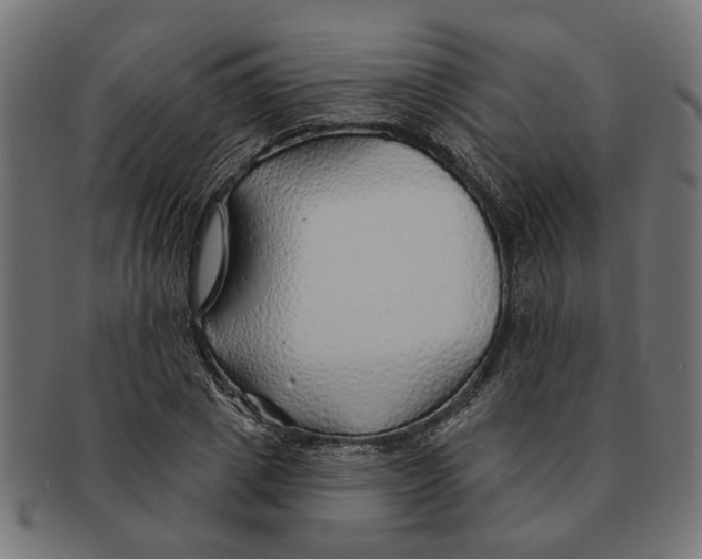 X0000091230833200709061517