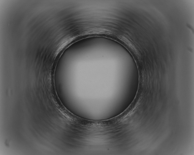 X0000091230834200709061517