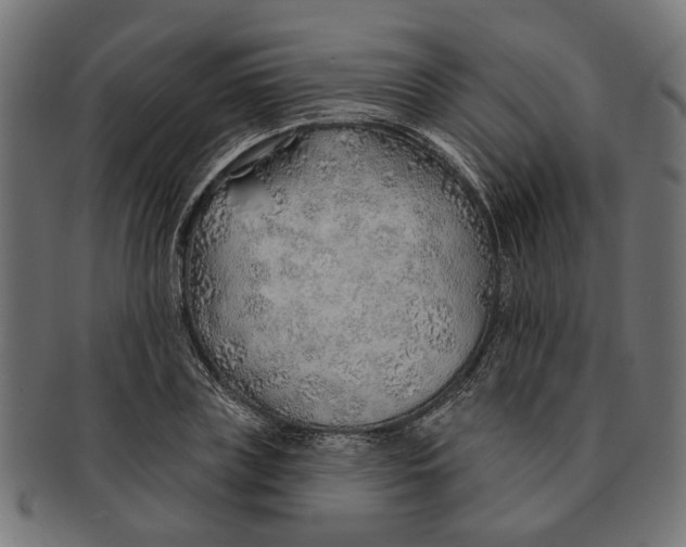 X0000091230835200709061517