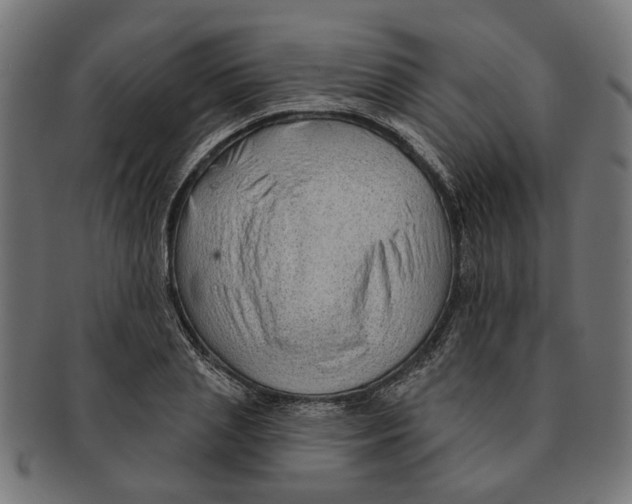 X0000091230837200709061517