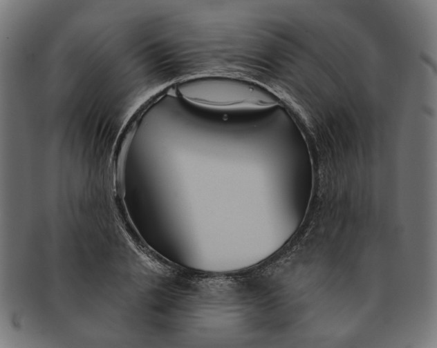 X0000091230838200709061517