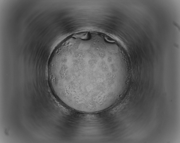 X0000091230839200709061517
