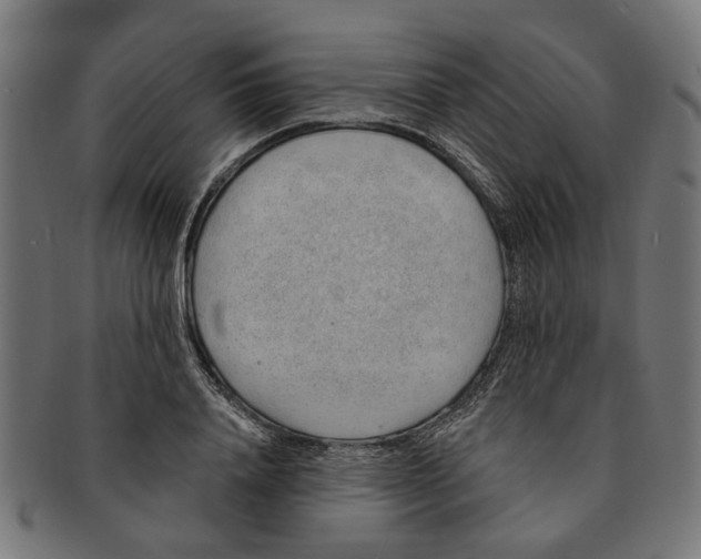 X0000091230840200709061517