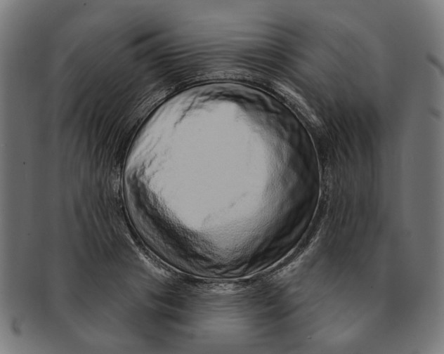 X0000091230841200709061517