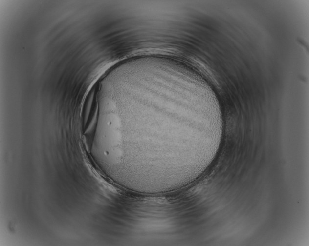 X0000091230844200709061517