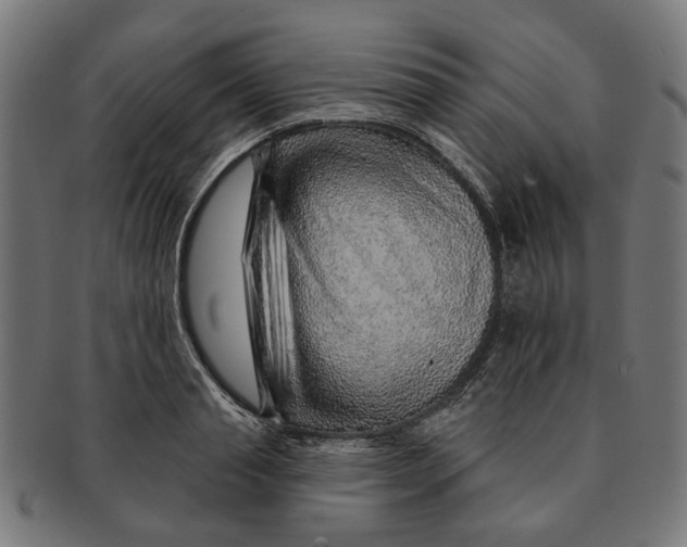 X0000091230845200709061517