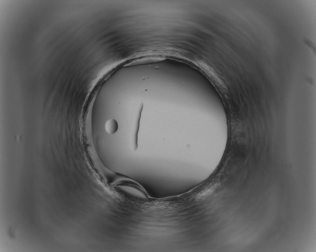 X0000091230846200709061517