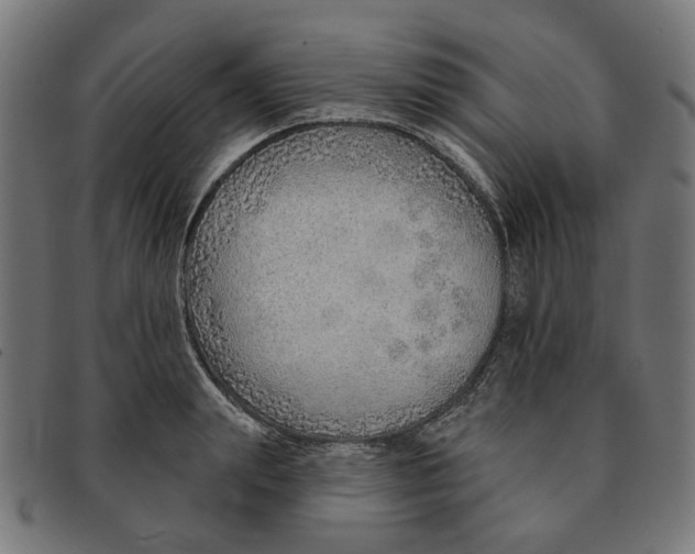 X0000091230847200709061517