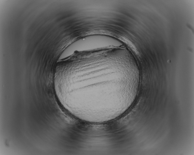 X0000091230849200709061517