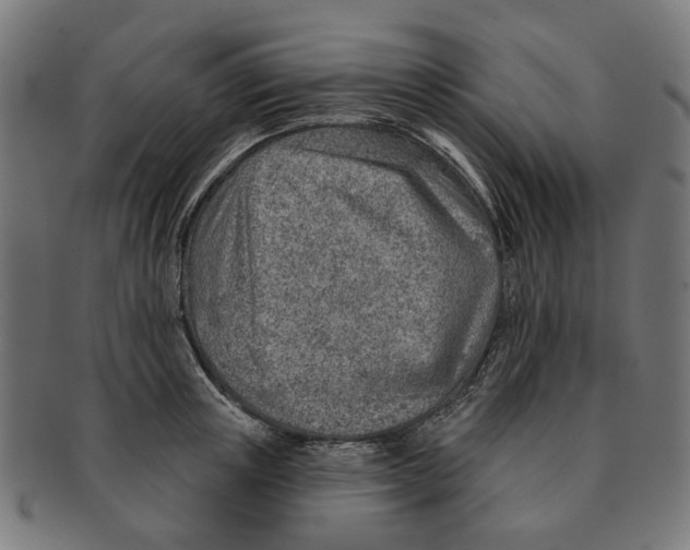 X0000091230851200709061518