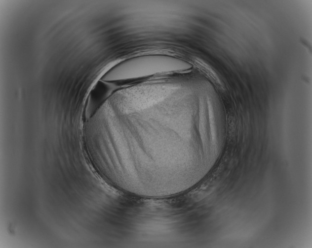 X0000091230852200709061518