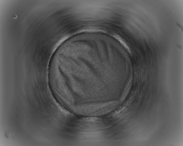 X0000091230853200709061518