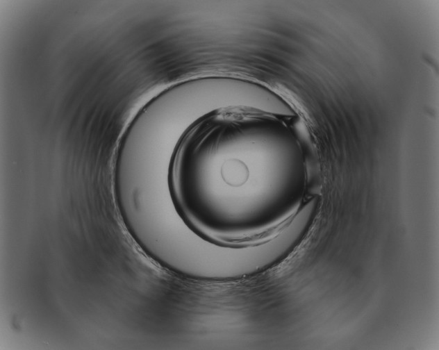 X0000091230854200709061518