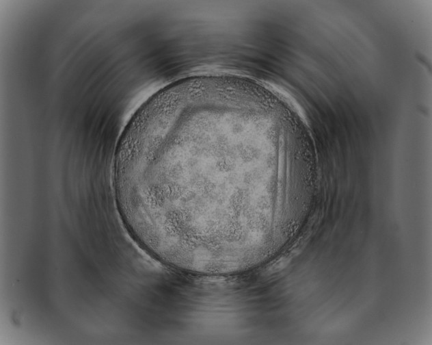 X0000091230855200709061518