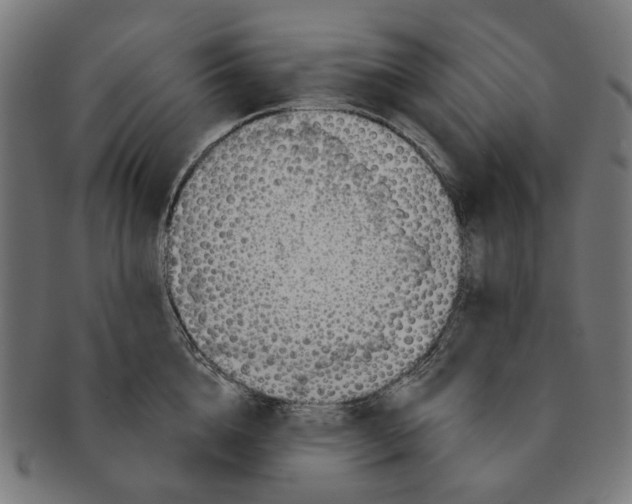 X0000091230856200709061518
