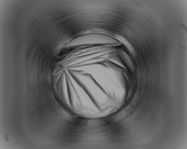 X0000091230857200709061518