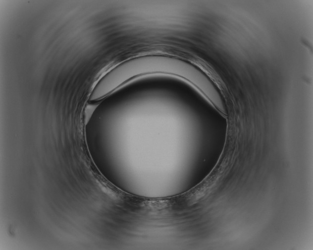 X0000091230858200709061518