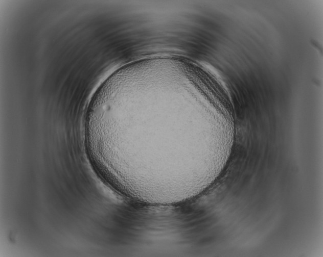 X0000091230859200709061518