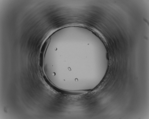 X0000091230860200709061518