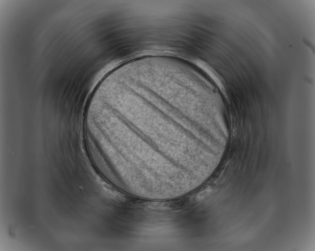 X0000091230861200709061518