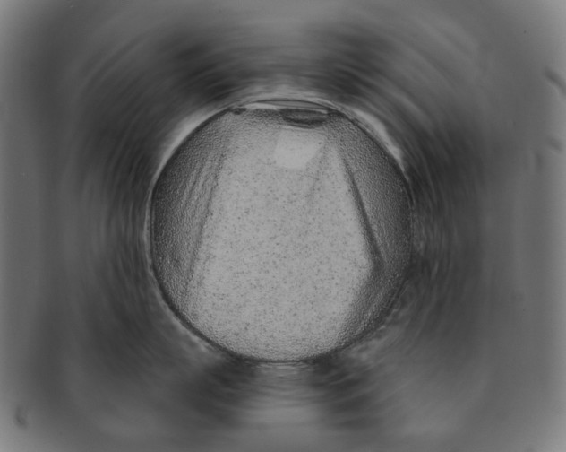 X0000091230863200709061518