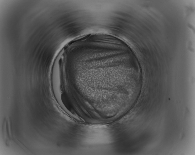 X0000091230864200709061518