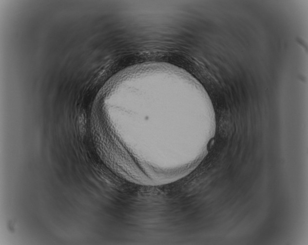X0000091230866200709061517