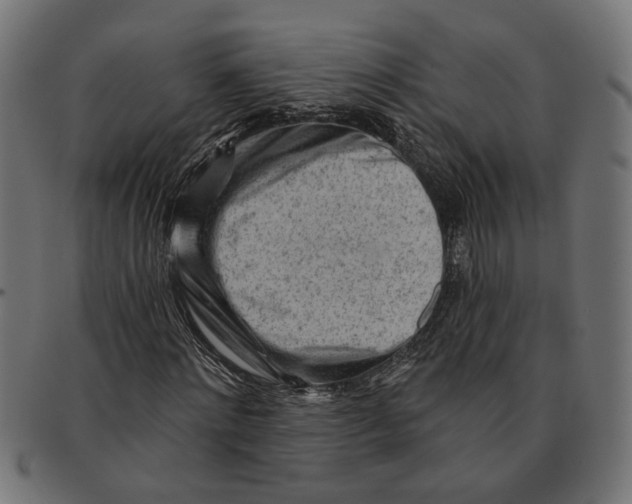 X0000091230868200709061517