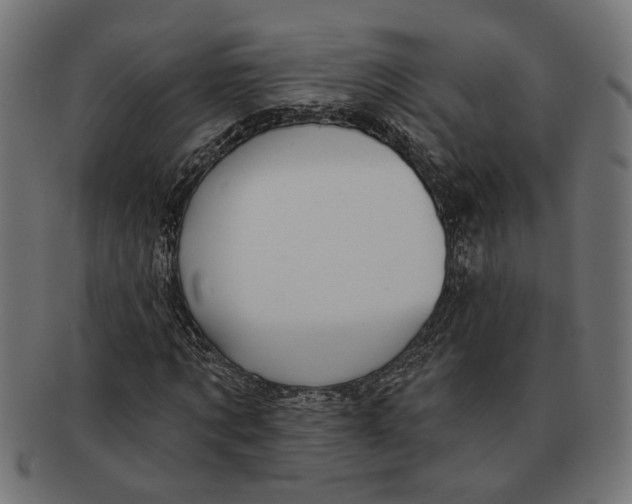 X0000091230869200709061517