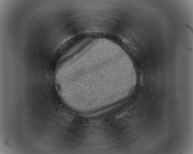 X0000091230870200709061517