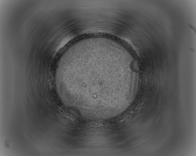 X0000091230871200709061517