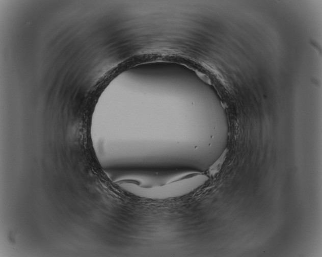 X0000091230872200709061517
