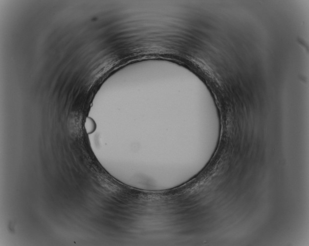X0000091230873200709061517